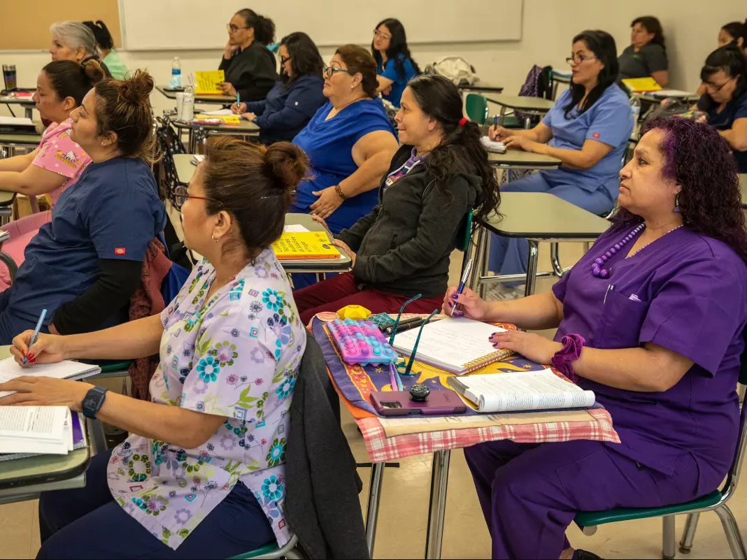 Native Language Students in Classroom