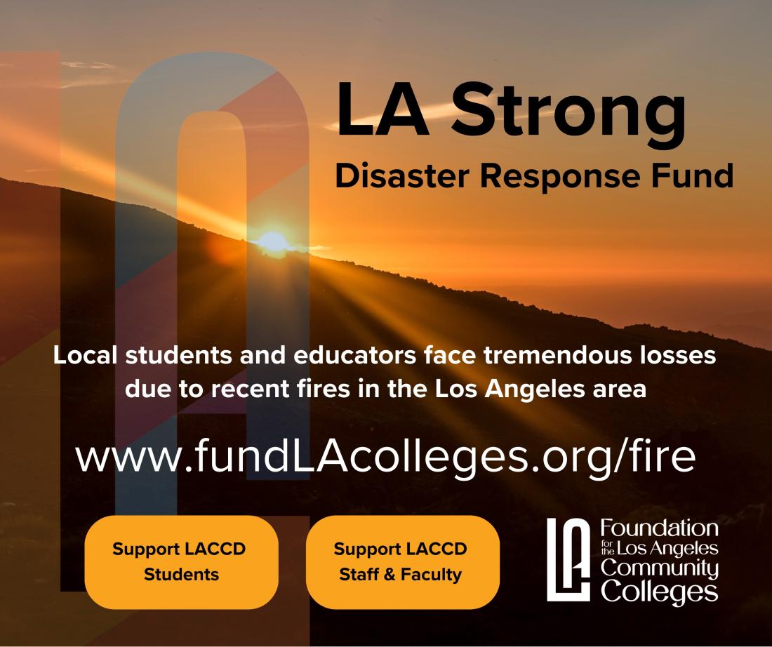 LA Strong Disaster Response Fund 