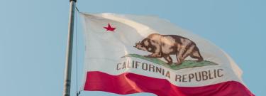 California State Flag